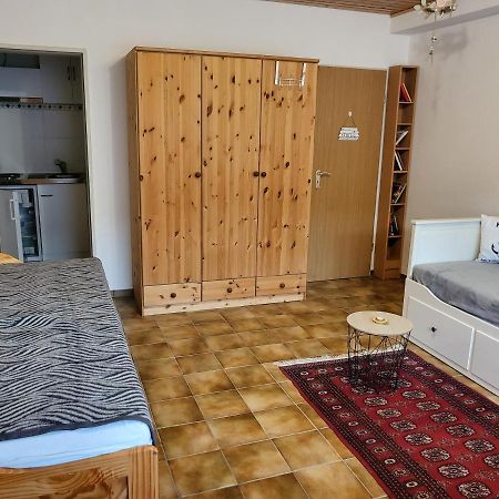 Apartment Betzenberg, Nur Netflix Kaiserslautern Kültér fotó